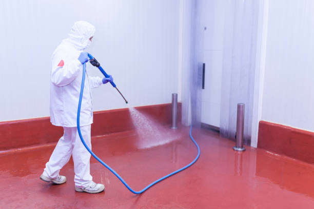 Best Soft Washing  in Mission Hills, CA